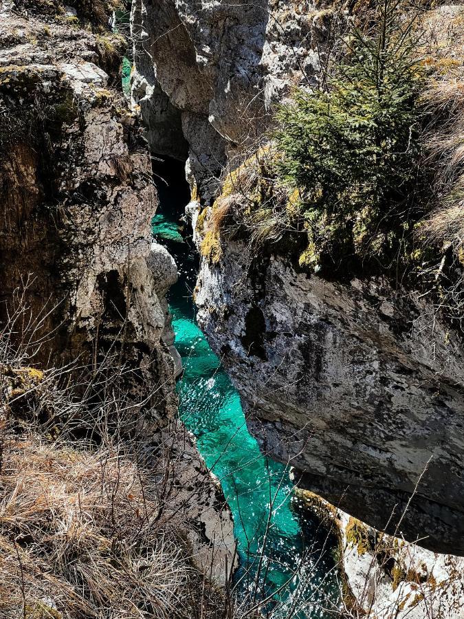 Apartments Mala Korita Soce Soča Eksteriør bilde