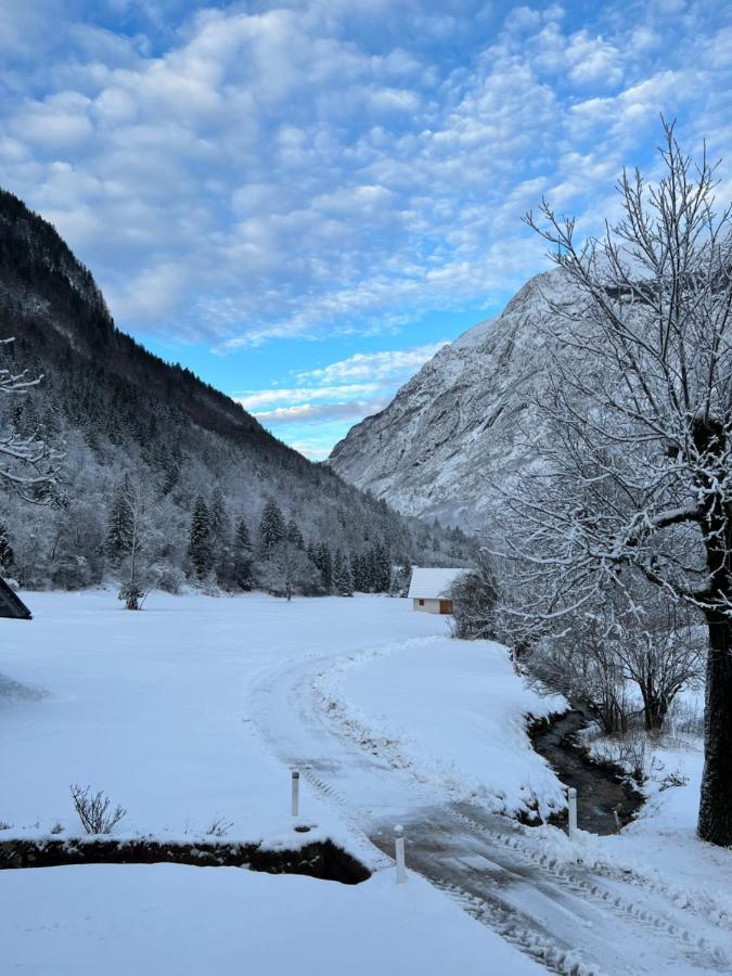 Apartments Mala Korita Soce Soča Eksteriør bilde