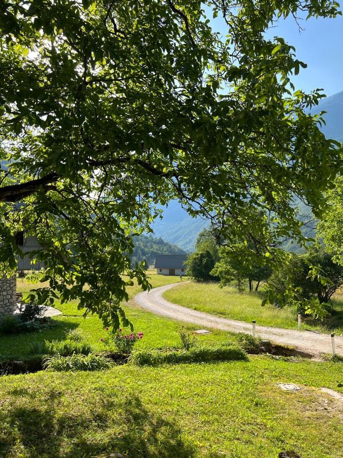 Apartments Mala Korita Soce Soča Eksteriør bilde