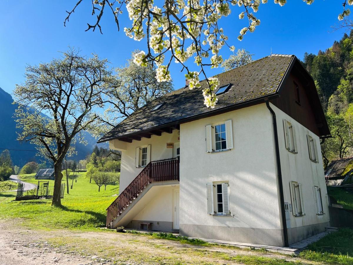 Apartments Mala Korita Soce Soča Eksteriør bilde