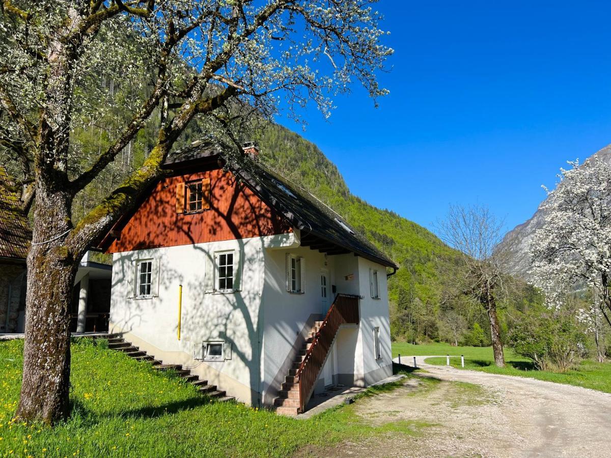 Apartments Mala Korita Soce Soča Eksteriør bilde