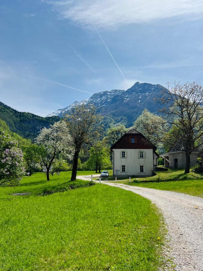Apartments Mala Korita Soce Soča Eksteriør bilde