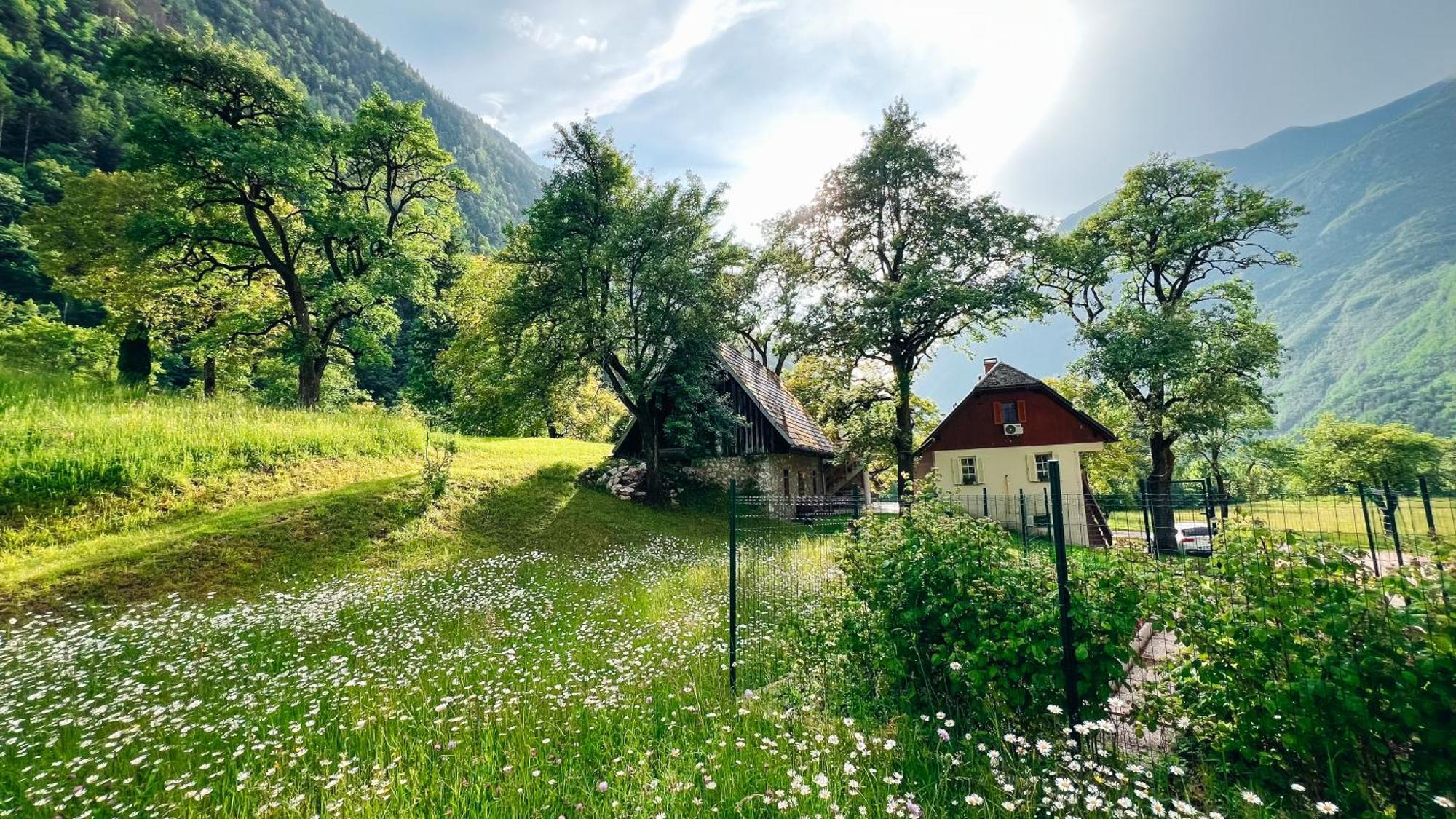Apartments Mala Korita Soce Soča Eksteriør bilde