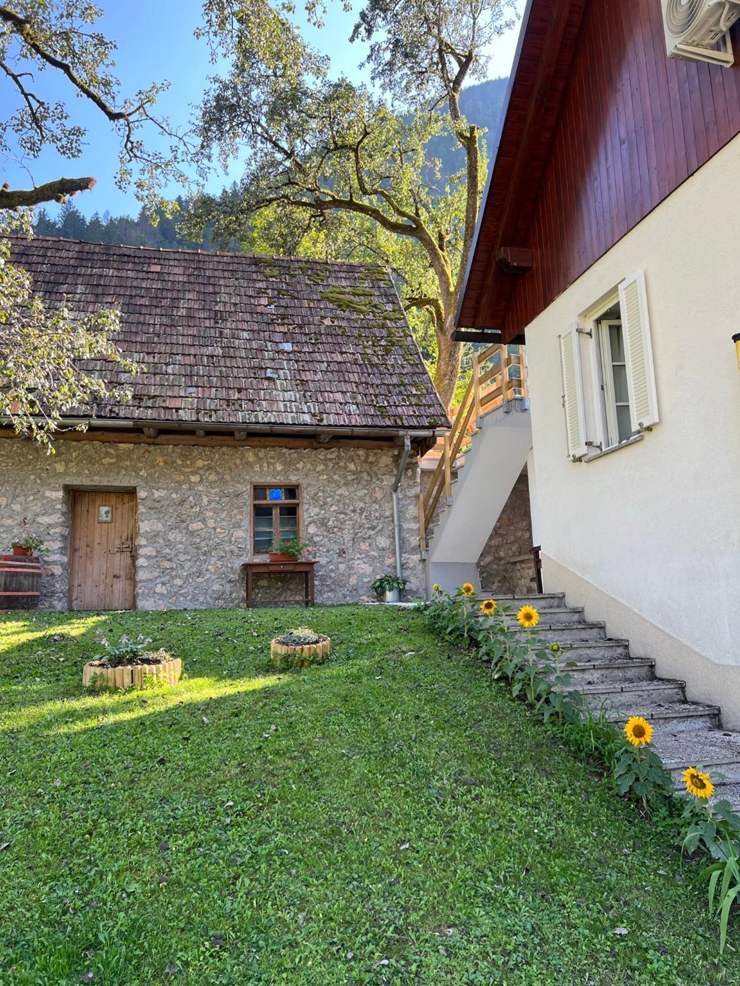 Apartments Mala Korita Soce Soča Eksteriør bilde