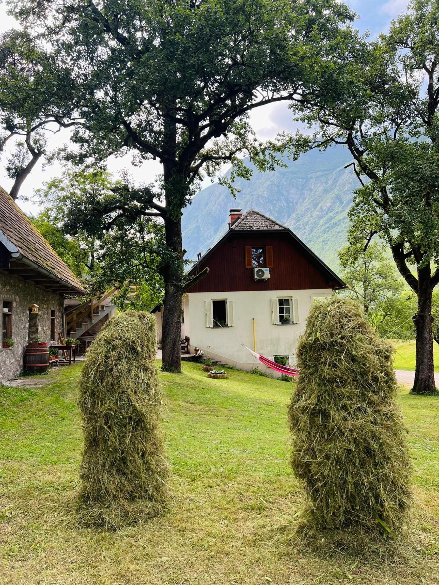 Apartments Mala Korita Soce Soča Eksteriør bilde