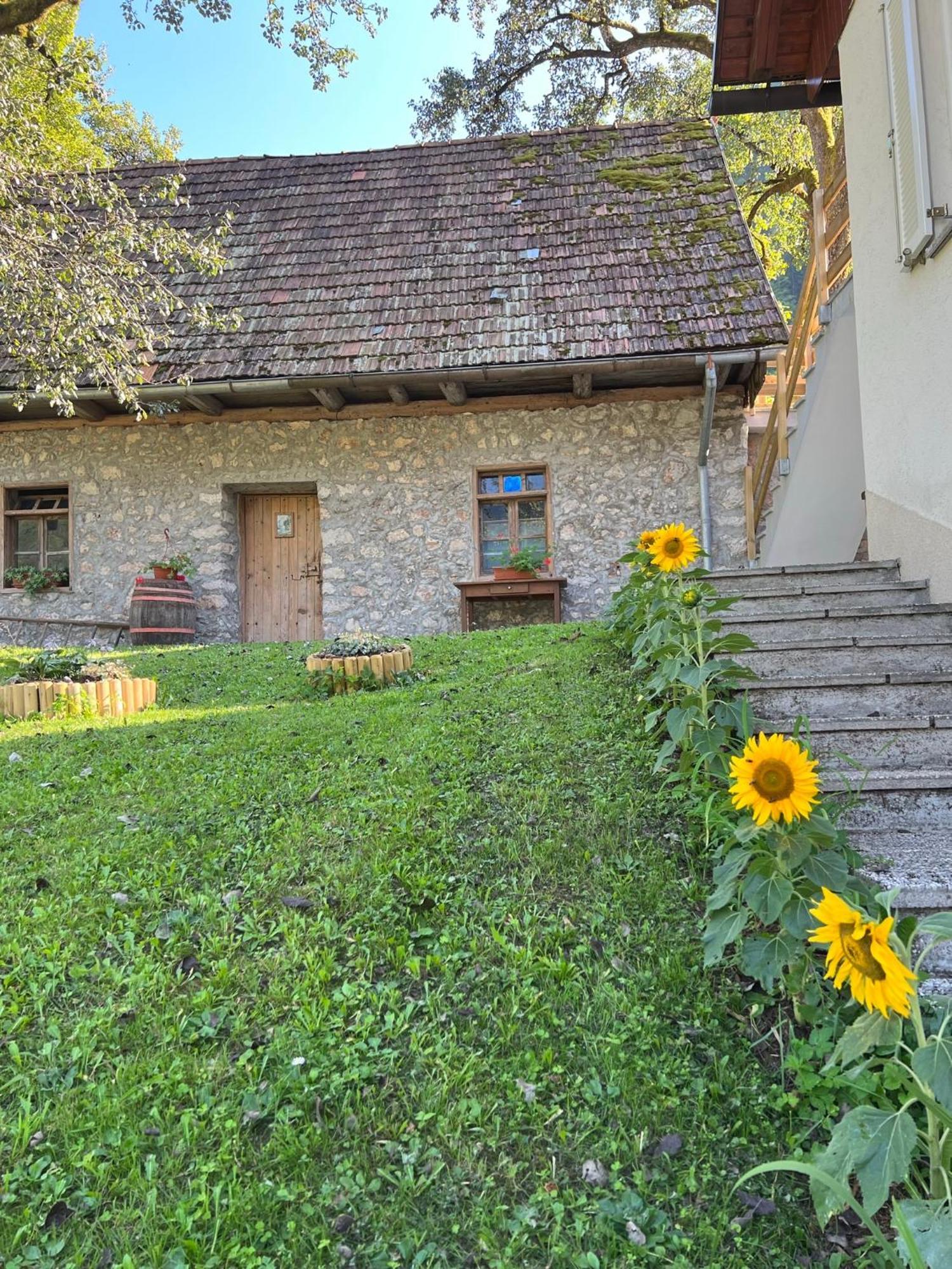 Apartments Mala Korita Soce Soča Eksteriør bilde