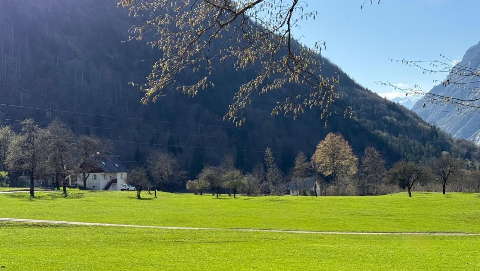 Apartments Mala Korita Soce Soča Eksteriør bilde