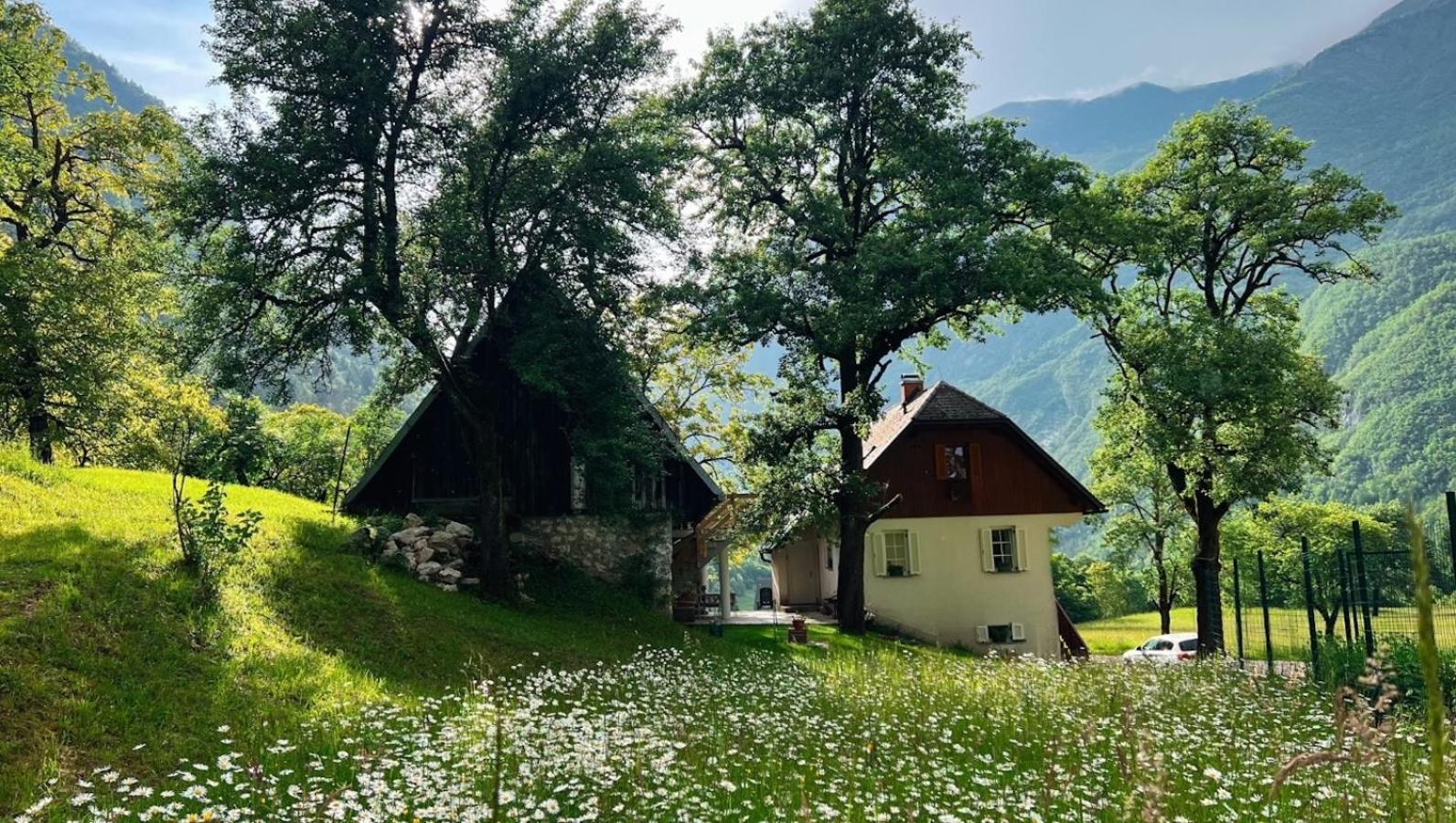 Apartments Mala Korita Soce Soča Eksteriør bilde